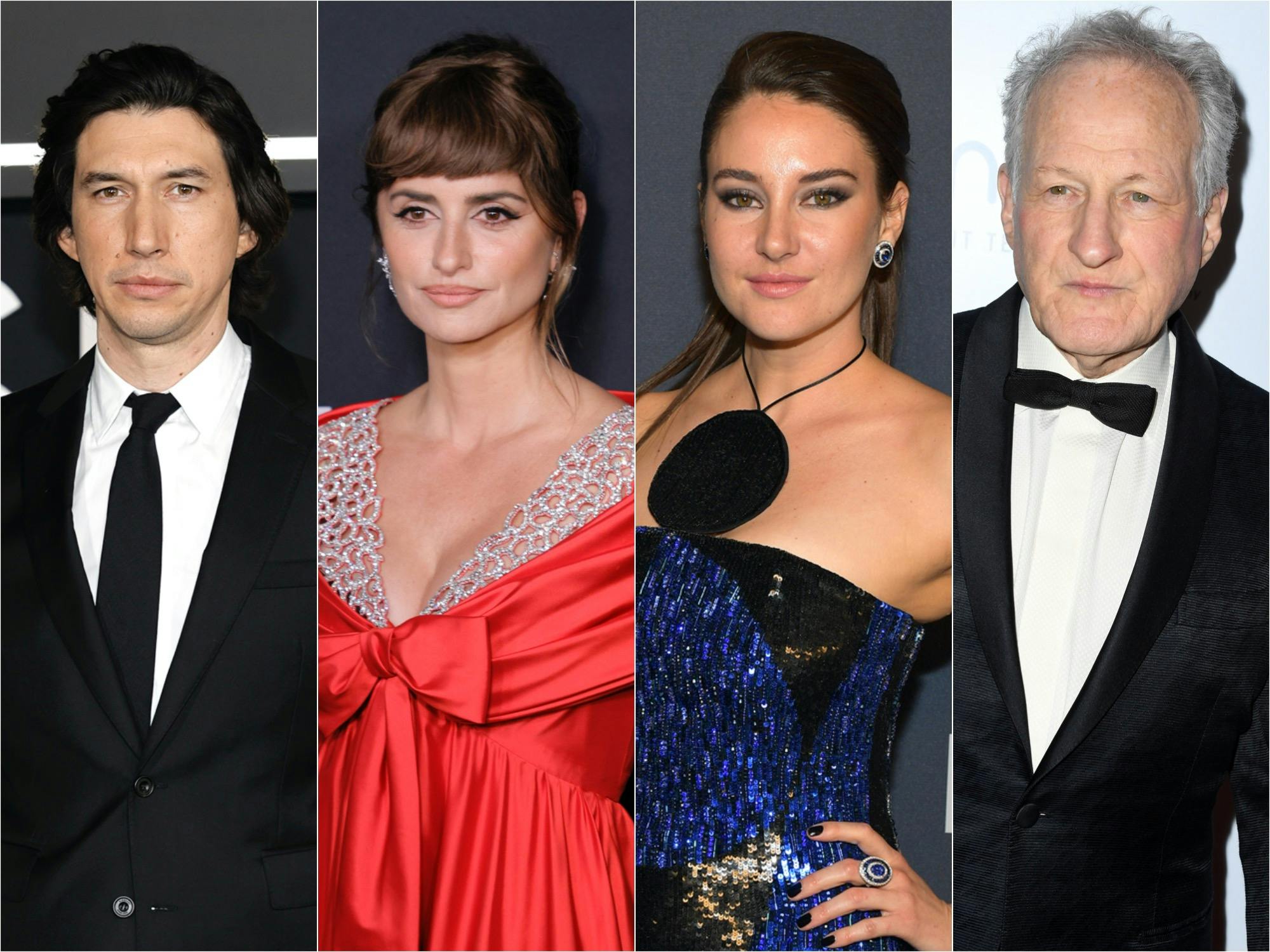 Adam Driver, Penélope Cruz, Shailene Woodley, Michael Mann