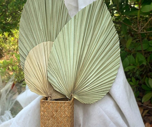 African garden ideas