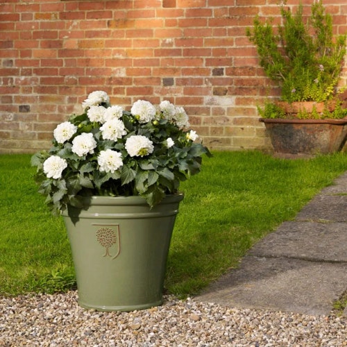 RHS Antique Grey Cone