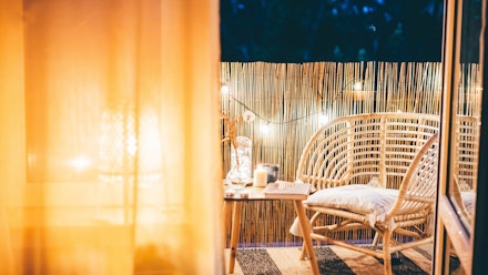 Garden trend 2: Loungy bamboo Garden trend 2: Loungy bamboo