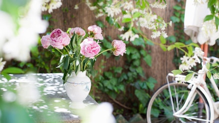 Garden trend 1: Calming pastel pink Garden trend 1: Calming pastel pink
