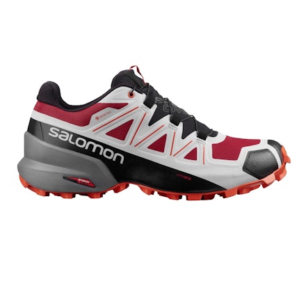 Salomon Salomon