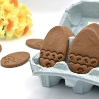 Easter Egg Hunt Kit for Dogs
