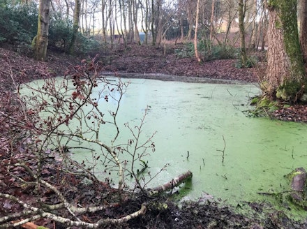 A benefit to both angling and wildlife A benefit to both angling and wildlife