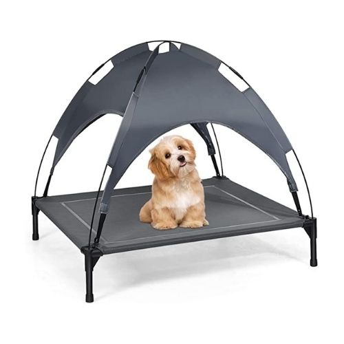Maxmass Elevated Pet Cot