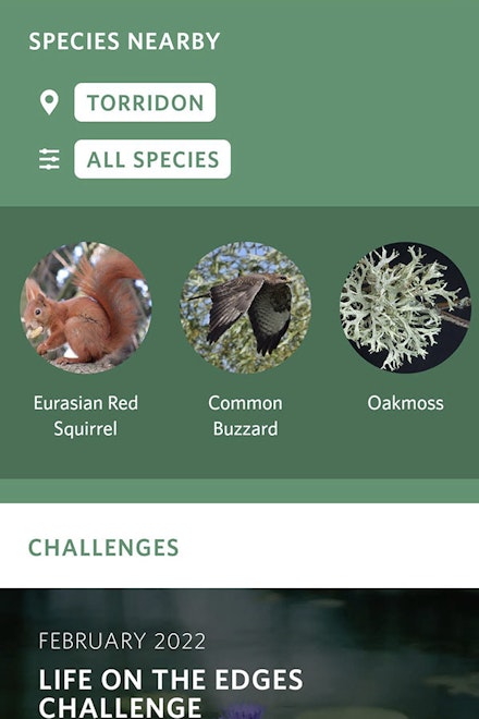iNaturalist Seek iNaturalist Seek