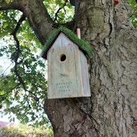 Personalised Rustic Bird Box