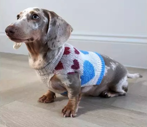Michelle Keegan Heart Print Dog Jumper