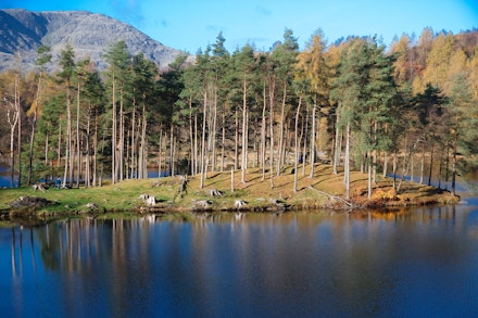 Tarn Hows Lake District walk Tarn Hows Lake District walk