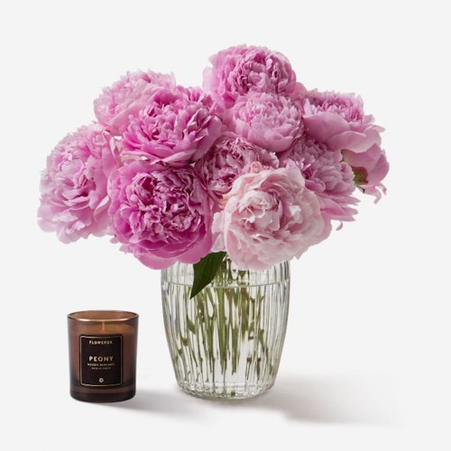 Flowerbx Primrose Peony