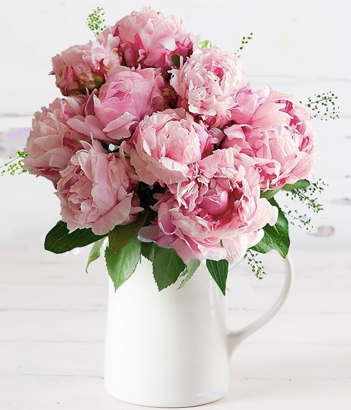 Appleyard Flowers British Pink Peony