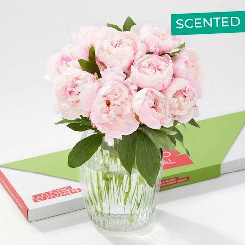 Flying Flowers Perfectly Pink Letterbox Peonies