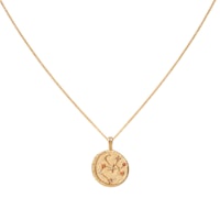A picture of the Astrid & Miyu Sagittarius Zodiac Pendant Necklace.