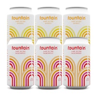 Fountain Hard Seltzer Mango & Passion Fruit Mixed Pack