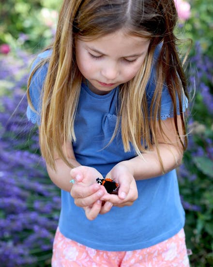 Princess Charlotte with Red Admiral butterfly Charlotte with butterfly