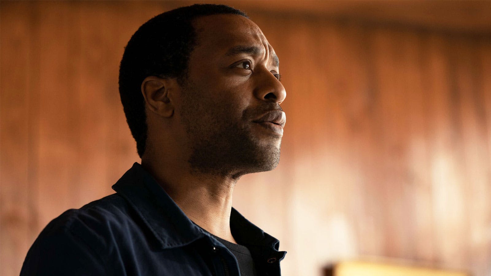 The Man Who Fell To Earth