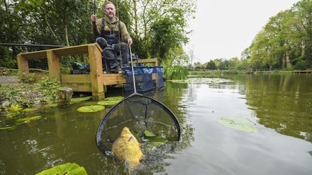 Fishery-Focus