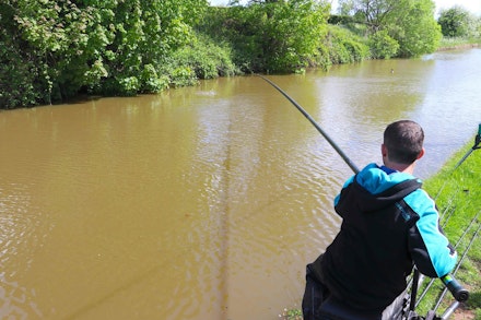Main-1-Danny-martin-positive-on-canals