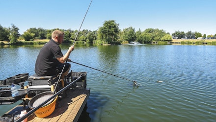 Fishery-Focus