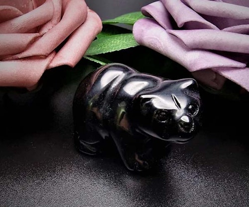 Black Obsidian Bear