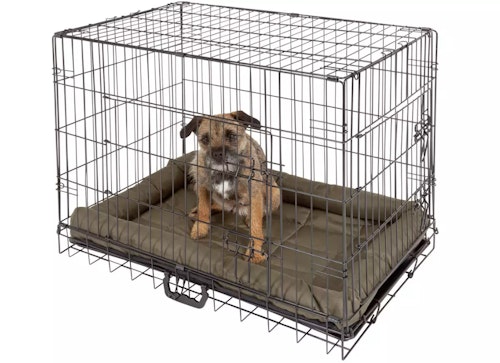 Double Door Dog Crate - Medium