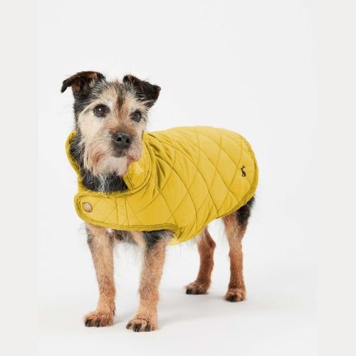 Joules Quilted Dog Coat