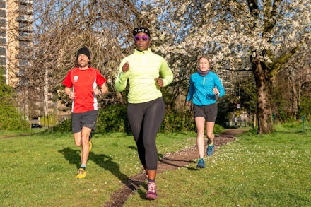 article_0019_Wandle1