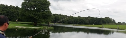 Alderneuk
