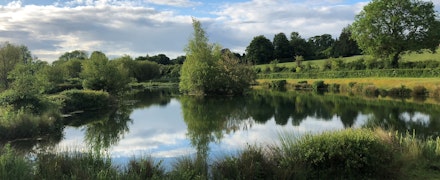 Amport-Fishery
