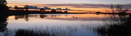 BORLAND-TROUT-FISHERY