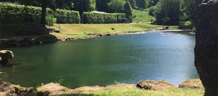 Bigwell