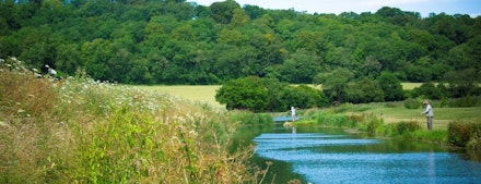 Meon-Springs