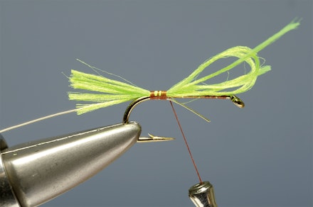 lime-tail_HE-3