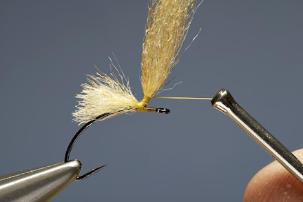 mayfly_emerger-1-2