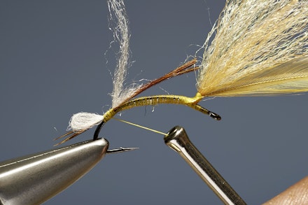 mayfly_emerger-3