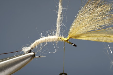 mayfly_emerger-5