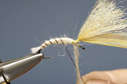 mayfly_emerger-6