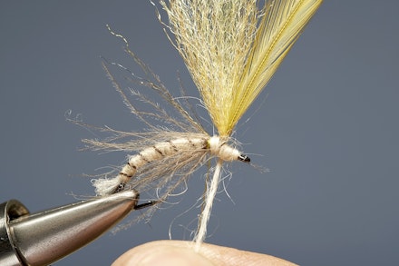 mayfly_emerger-8
