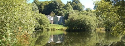 tavistock