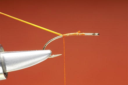 Shrimper-seq-1