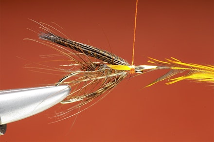 Shrimper-seq-10