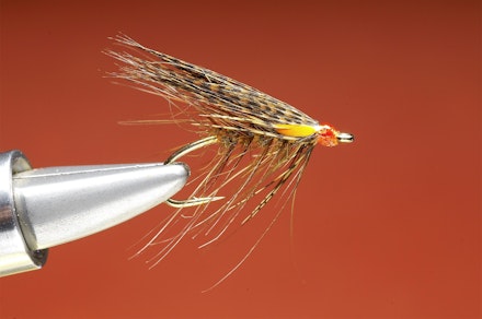 Shrimper-seq-11