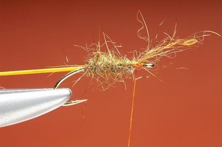 Shrimper-seq-2