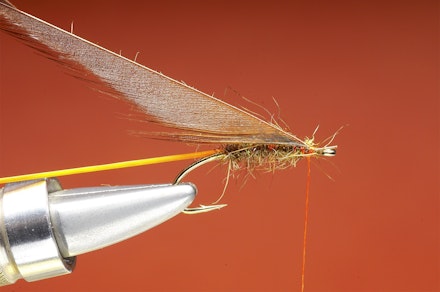 Shrimper-seq-3