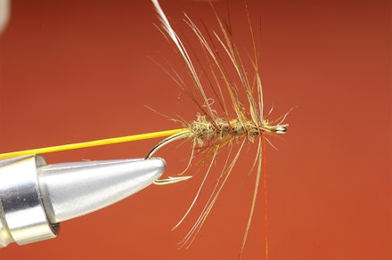 Shrimper-seq-4