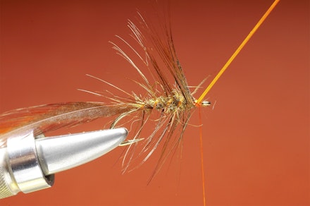 Shrimper-seq-5