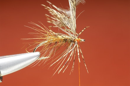 Shrimper-seq-7