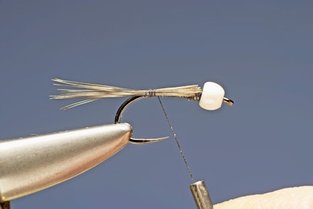 brite_collar_bug-2