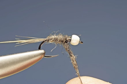 brite_collar_bug-4