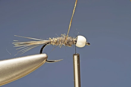 brite_collar_bug-5